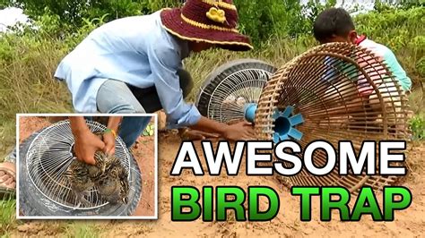 Awesome Bird Trap Youtube