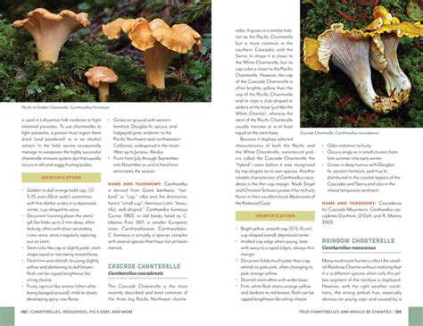 Fruits Of The Forest A Field Guide To Pnw Edible Mushrooms