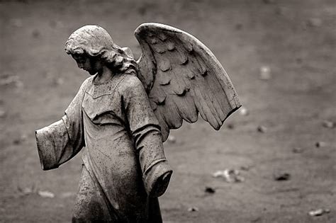 210+ Broken Angel Statue Stock Photos, Pictures & Royalty-Free Images ...