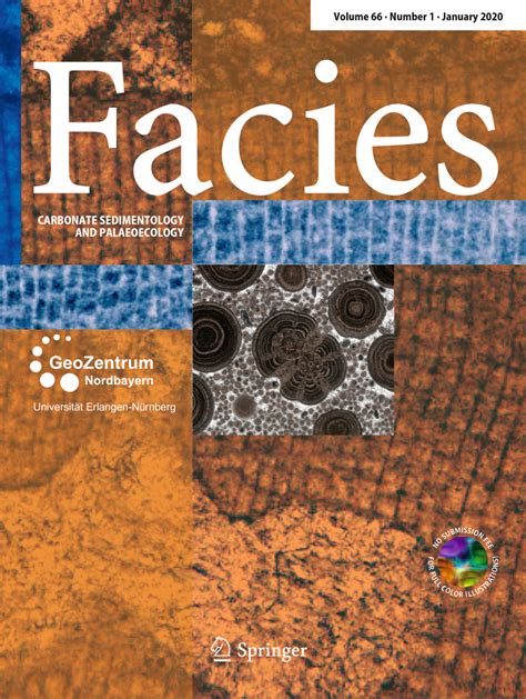 The Formation Of Micritic Limestones And The Development Of Limestone