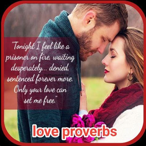 Proverbs about love - Apps on Google Play