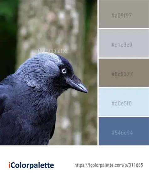 69 Crow Color Palette Ideas In 2024 Icolorpalette