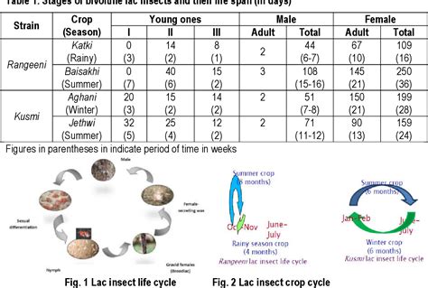 Figure 1 from Lac Insect Life Cycle, Lac Crop Cycle and Natural Resins ...