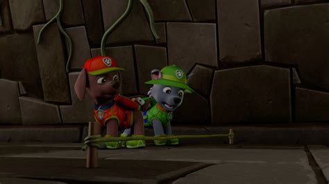 Image - PAW Patrol 315 Scene 78 Rocky and Zuma.png | PAW Patrol Wiki ...