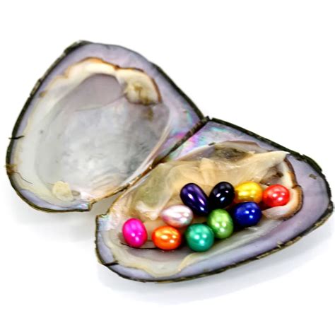 Aliexpress.com : Buy Oysters Pearls Big Natural Freshwater Oyster With 10 Pearls Vacuum Packed ...