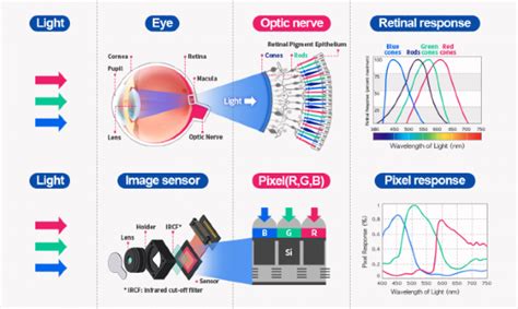 Cmos Image Sensor Handles Highspeed Applications