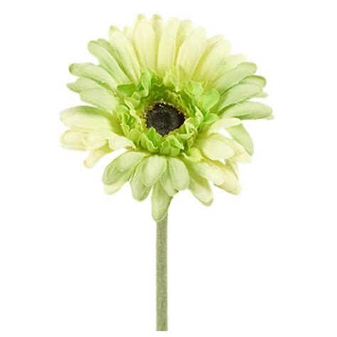 Kunstig Gerbera Stilk Cm Cm Lime