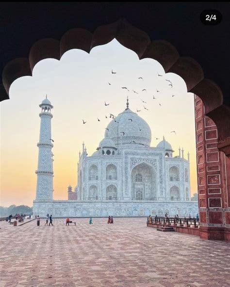 Vanuit Jaipur Taj Mahal Zonsopgang En Agra Fort Priv Trip Getyourguide