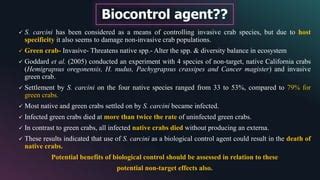 Sacculina carcini -green crab- Host- Parasite Relationship | PPT