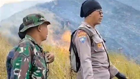 100 Hektare Lebih Lahan Di Lereng Gunung Arjuno Malang Terbakar Kini