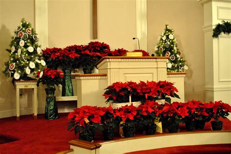 Poinsettias And Decorations Around Church Podium Brenna D Flickr