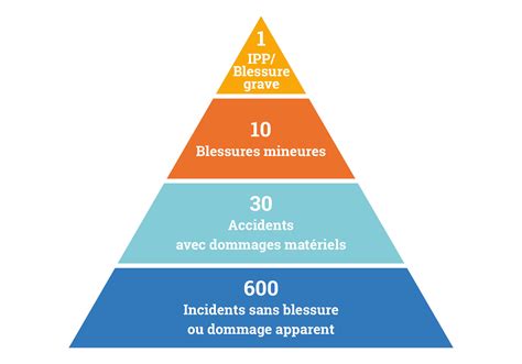 Pirâmide De Bird Cores Revoeduca