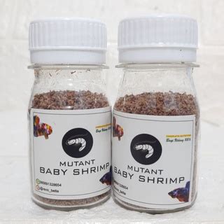 Jual Baby Shrimp Super Quality Netto Gr Gr Pakan Cupang Bayi