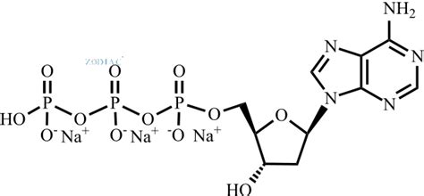 2 Deoxyadenosine 5 Triphosphate Trisodium Salt Zodiac Life Sciences