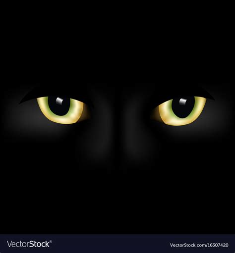 Cat eyes Royalty Free Vector Image - VectorStock