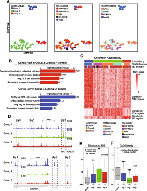 Chromatin Accessibility Distinguishes Breast Cancer Subtypes A Umap