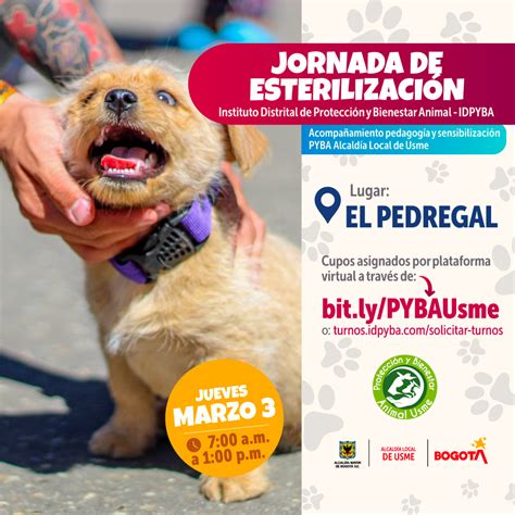 Jornada De Esterilizaci N En Usme