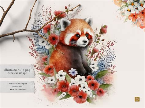 Red Panda Clipart Watercolor Red Pandas Whimsical Watercolor Red