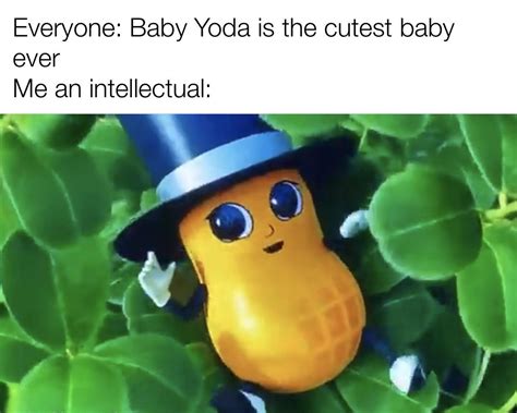 Super cute : r/memes