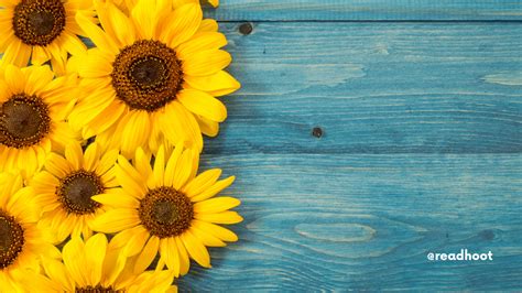 100+ Sunflower Quotes, Sayings and Captions To Make Your Day Brighter