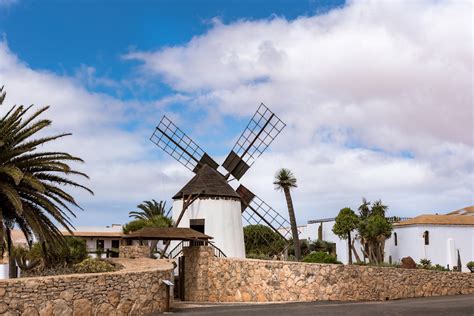 Majojero Cheese Museum Fuerteventura Everything You Should