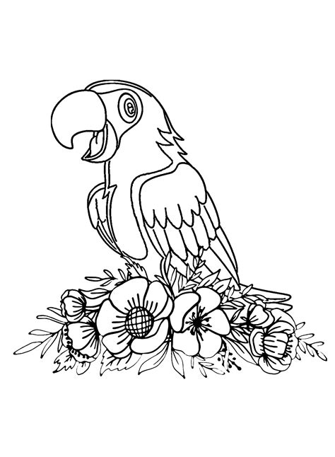 Macaws With Flowers Coloring Page Free Printable Coloring Pages