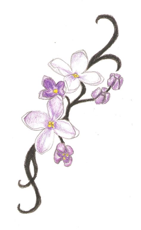 Lilac Flower Drawing at PaintingValley.com | Explore collection of ...