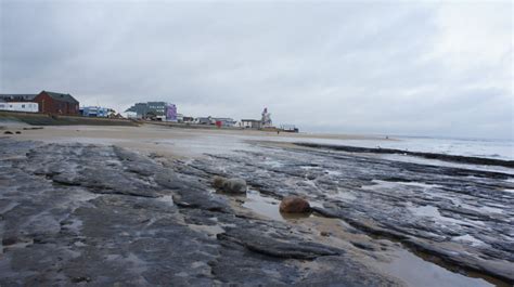 Redcar Mudstone formation and the Petrified Forest - Time and Tide Bell