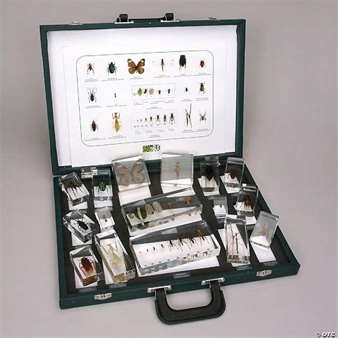 Carolina Biological Supply Company Insect Collection Set 1 Plastomount