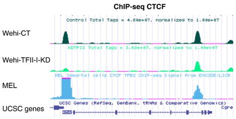 Visualization Of Ctcf Chip Seq Data In The Ucsc Genome Browser Download Scientific Diagram