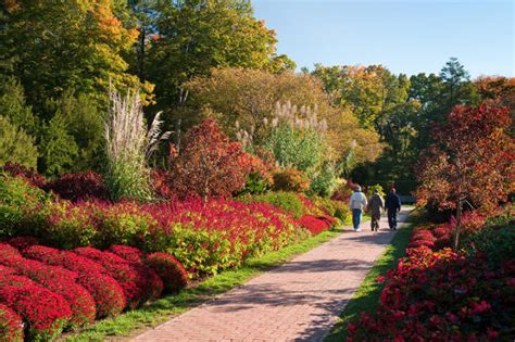 Autumns Colors Begin At Longwood Gardens Chadds Ford Live