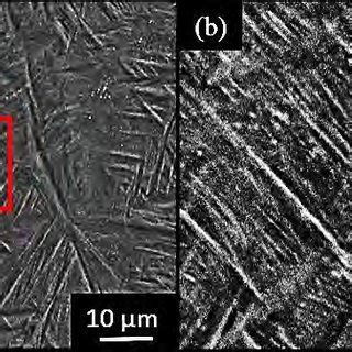 SEM Image Of A SLM As Built Ti 6Al 4V Microstructure With The