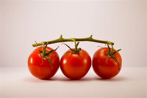 17 Facts About Tomato Facts Net