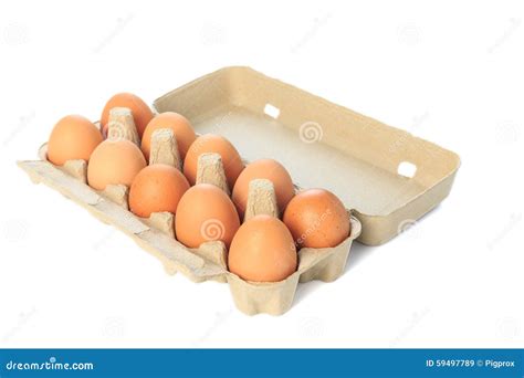 Cardboard Egg Box With Ten Brown Eggs Isolated Stock Image Image Of