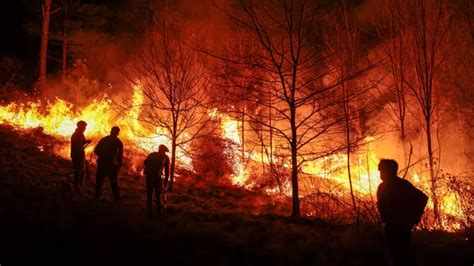 Incendios en Córdoba el Gobierno y la oposición evalúan los daños