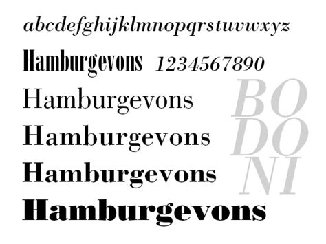 Bodoni Font Family | Conseptors