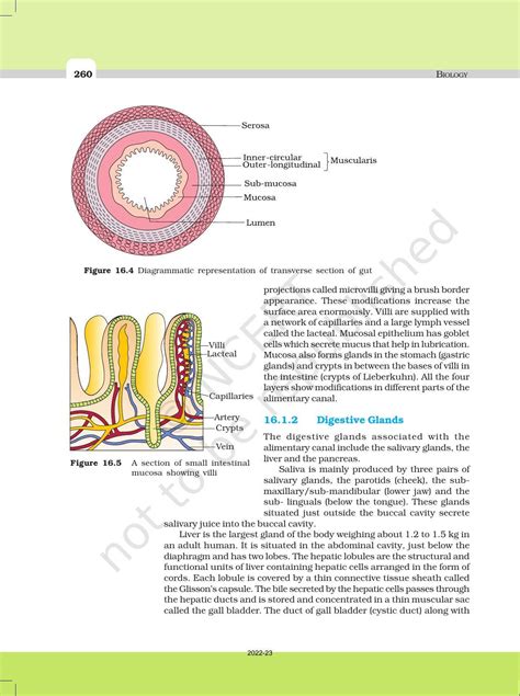 Ncert Book For Class 11 Biology Chapter 16 Digestion