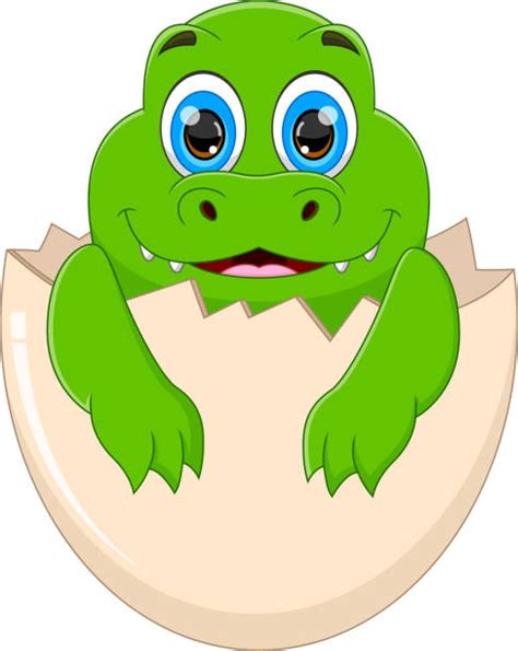 Crocodile Hatching Illustrations, Royalty-Free Vector Graphics & Clip Art - iStock