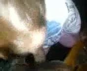 BBW Head Blowjob Blowjob Porn XHamster