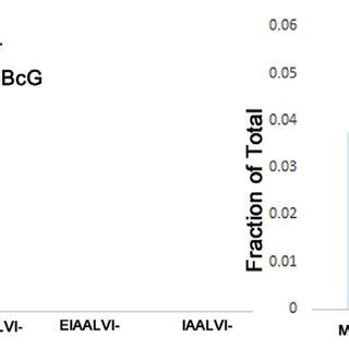 Lack Of Sequential Removal Of N Terminal Amino Acid Residues In Gamma