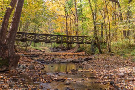 Hiking the Gorge in Cedar Creek Park to its Swinging Bridges and Waterfalls - Uncovering PA