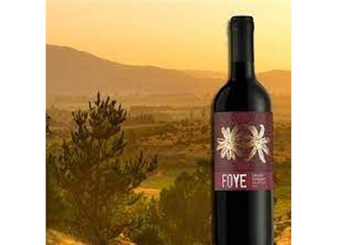 Vinho Tinto Foye Reserva Cabernet Sauvignon Ml O Melhor Pre O