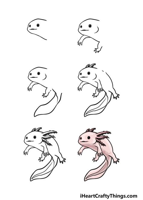 Axolotl Drawing - How To Draw An Axolotl Step By Step