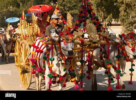 Initiation ceremony hi-res stock photography and images - Alamy