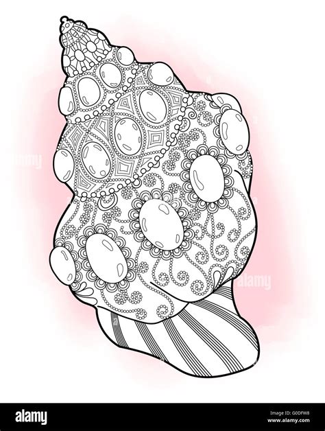 Vector Illustration Of A Seashell Stock Vector Image And Art Alamy