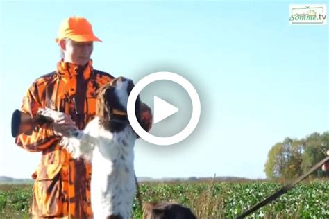 Somme La F D Ration Organise La Journ E Du Chien De Chasse