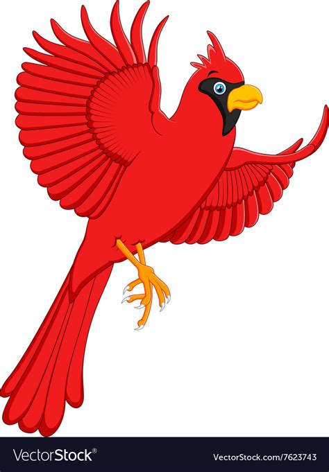 Flying Cardinal Cartoon Royalty Free Vector Image