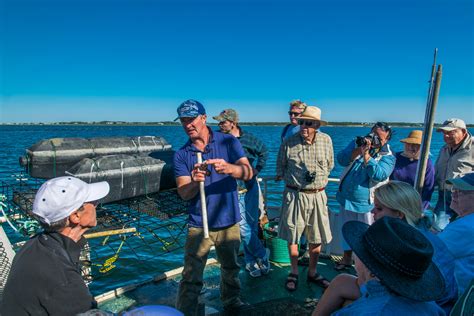 Ecology Of The Harbor Tour And Oyster Farm Visit Sept 14 Nantucket