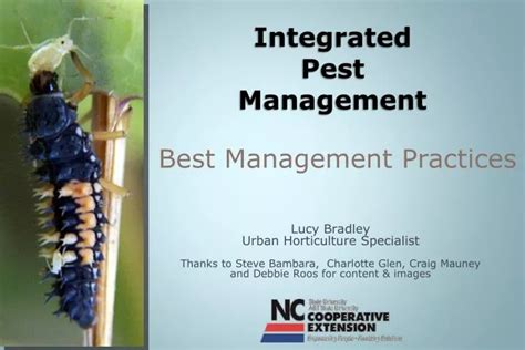 Ppt Integrated Pest Management Powerpoint Presentation Free Download Id4959905