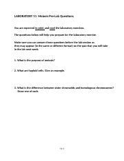 Lab Meiosis New Docx Laboratory Meiosis Pre Lab Questions